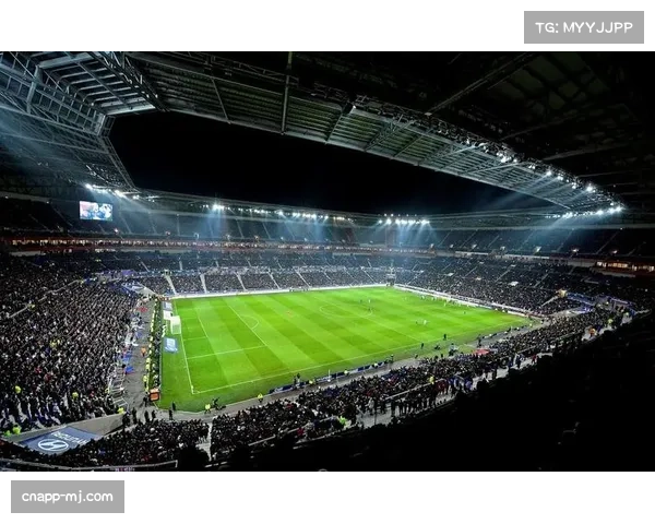 财政调查：回顾“电视转播权危机”后法甲中小俱乐部的生存现状